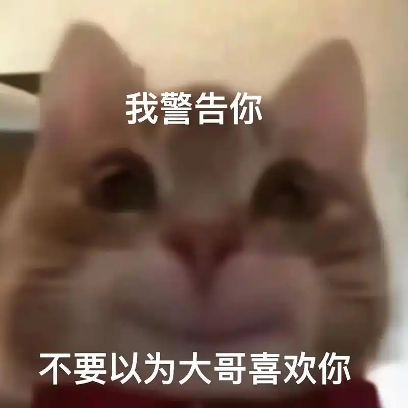 没错我就是赖皮狗#表情包 #歪嘴小猫 #歪嘴小猫表情包 #表 - 抖音
