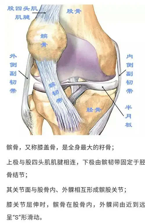 浅谈髌骨软骨软化症的病因,临床表现及治疗
