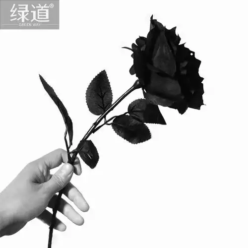 哥特黑玫瑰花不良jk拍照道具假花束扇子黑色枯萎手拿白仿真花拍摄