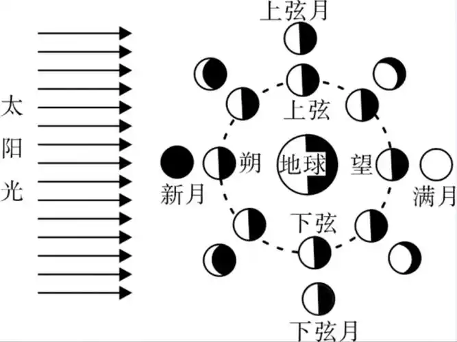 常识:"人有悲欢离合,月有阴晴圆缺",圆缺就是指"月相变化"_华图教育