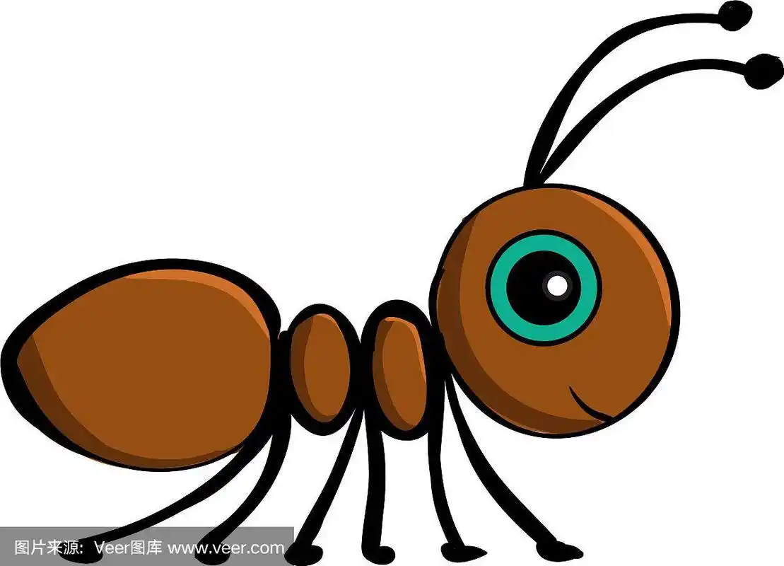 可爱的蚂蚁在白色的背景