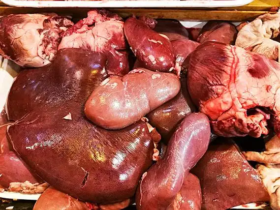 猪的内脏