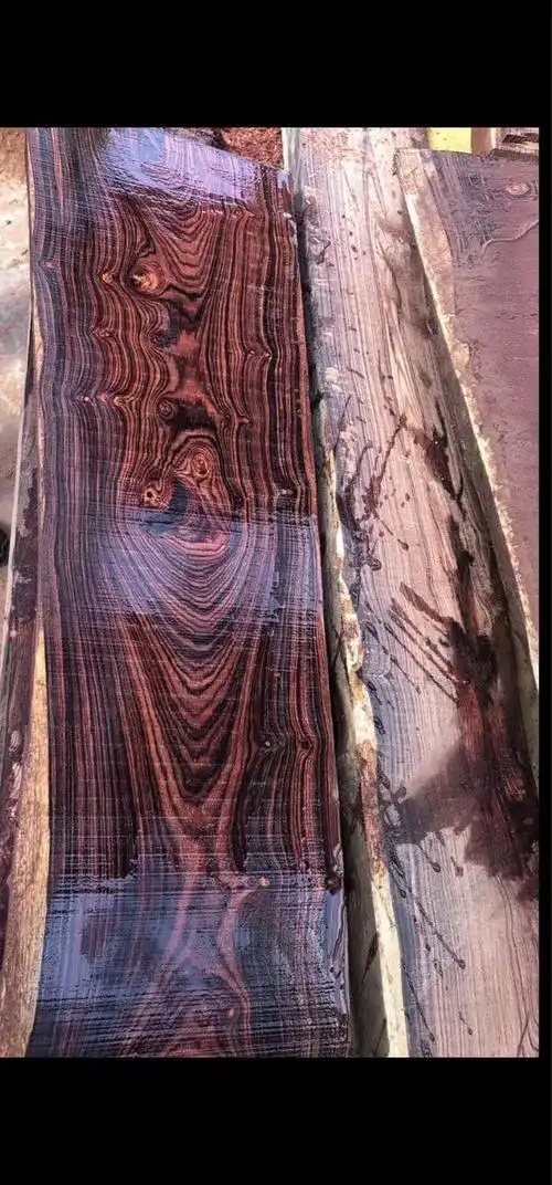 墨西哥微凹黄檀木 微凹黄檀原木木材 微凹黄檀木料