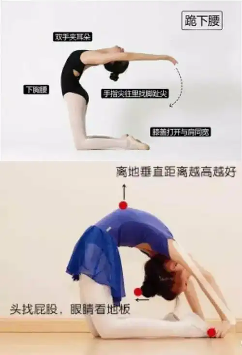 其它 舞研教学大纲中国舞基本功教学图解 写美篇惊喜一[玫瑰]送舞蹈服