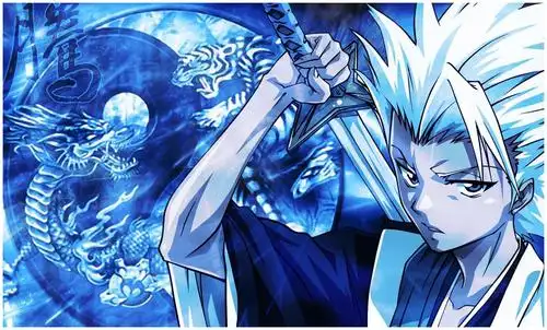 天才的少年,最强冰雪系斩魄刀的拥有者,最年轻的队长,日番谷冬狮郎