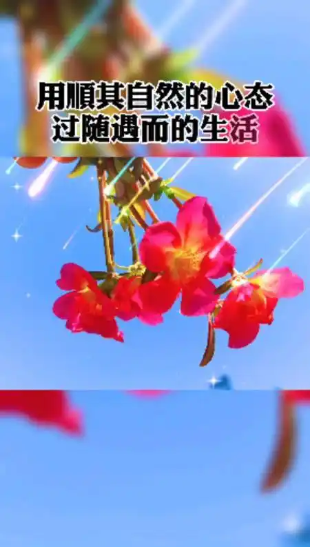 励志正能量#用顺其自然的心态过随遇而安的生活,做个简单快乐的自己