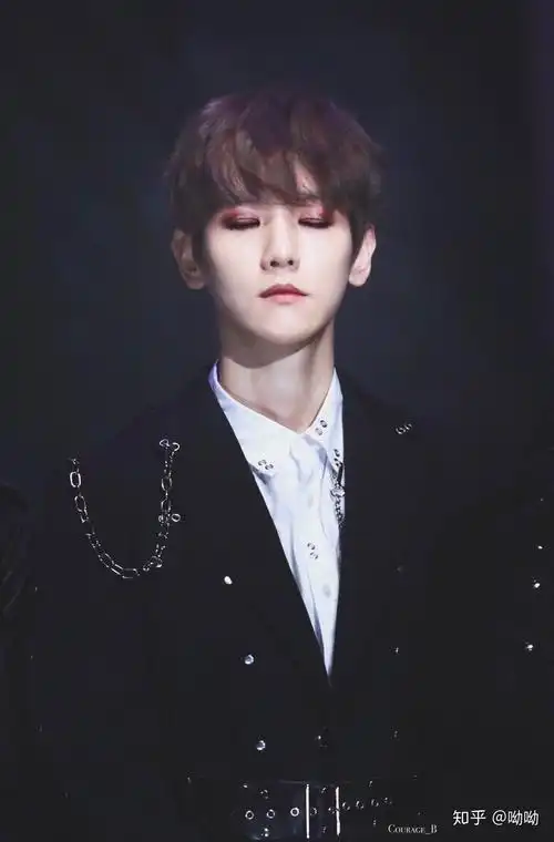 边白贤的成绩怎么样 边伯贤个人资料及作品