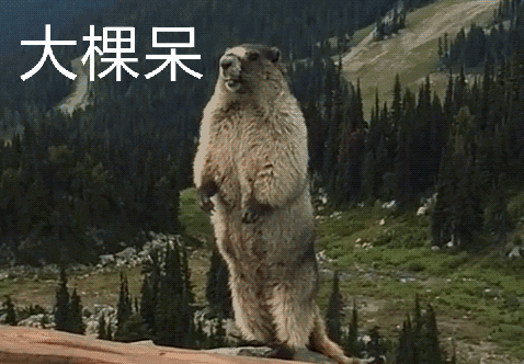咆哮大熊斗图嘶吼大棵呆gif动图_动态图_表情包下载_soogif
