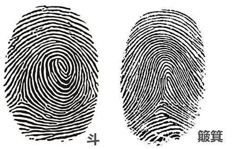 十个簸箕的女人的财运,十个簸箕的男人的命运