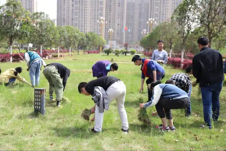 建筑与城市规划学院组织学生开展公益除草活动
