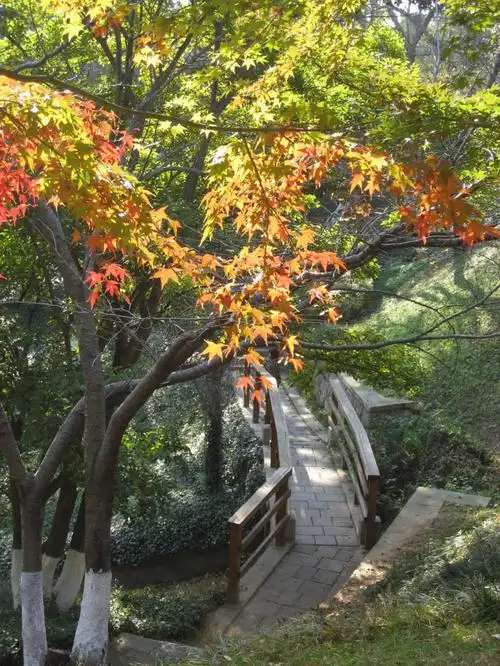 在青岛市植物园