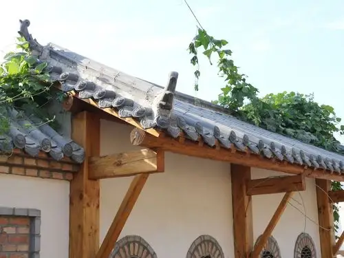 单县旅游村民宿农家院池塘休闲度假好地方