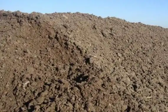 新鲜纯鸡粪青贮后可以作为饲料,喂牛,羊,有的也可以喂猪.