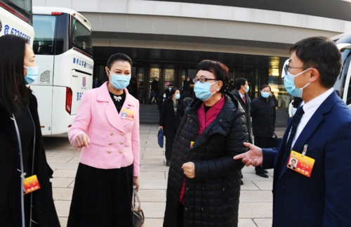 市政协十三届四次会议期间,来自特邀界别的闵丽华委员