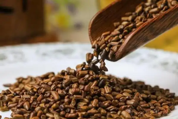 决明子的功效与作用,食用它竟然有这样的好处!