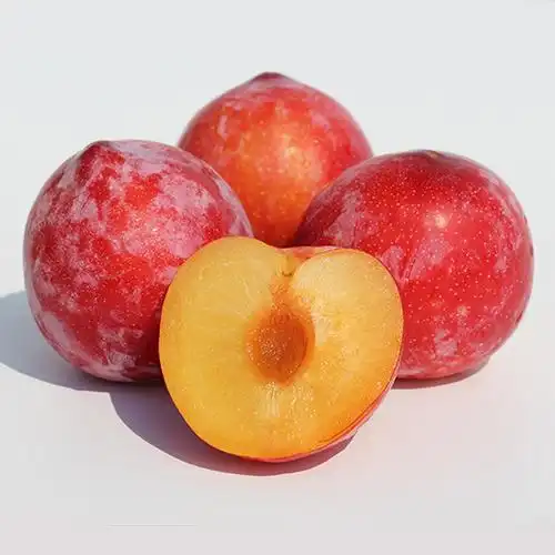 果沁农庄应季鲜果 华州杏李(千味红) 精品果36枚