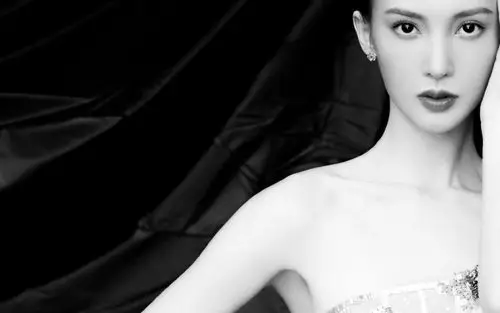 金晨精致优雅写真图片桌面壁纸