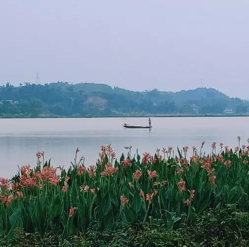 寒露降临苍海湖. 美到极致