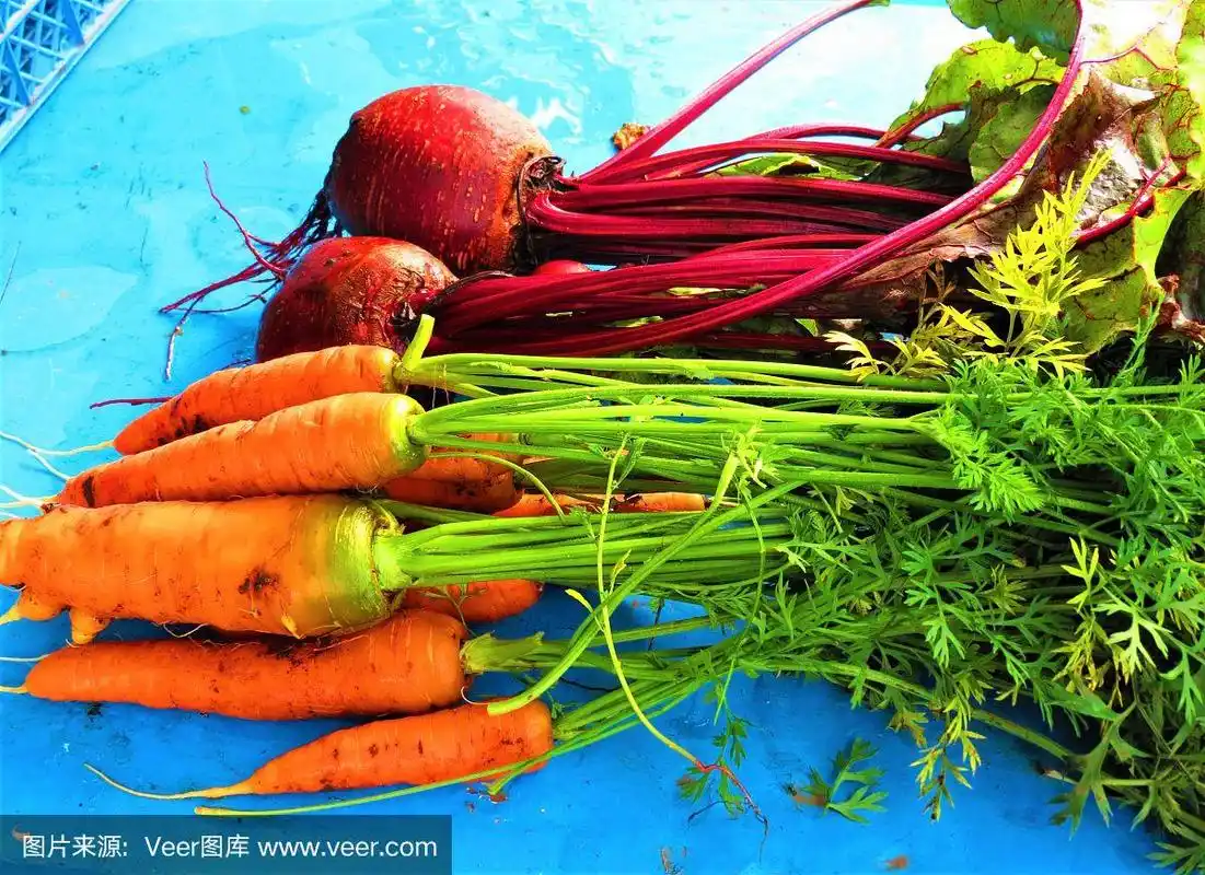 甜菜,胡萝卜,根茎类蔬菜,蓝色背景,农业