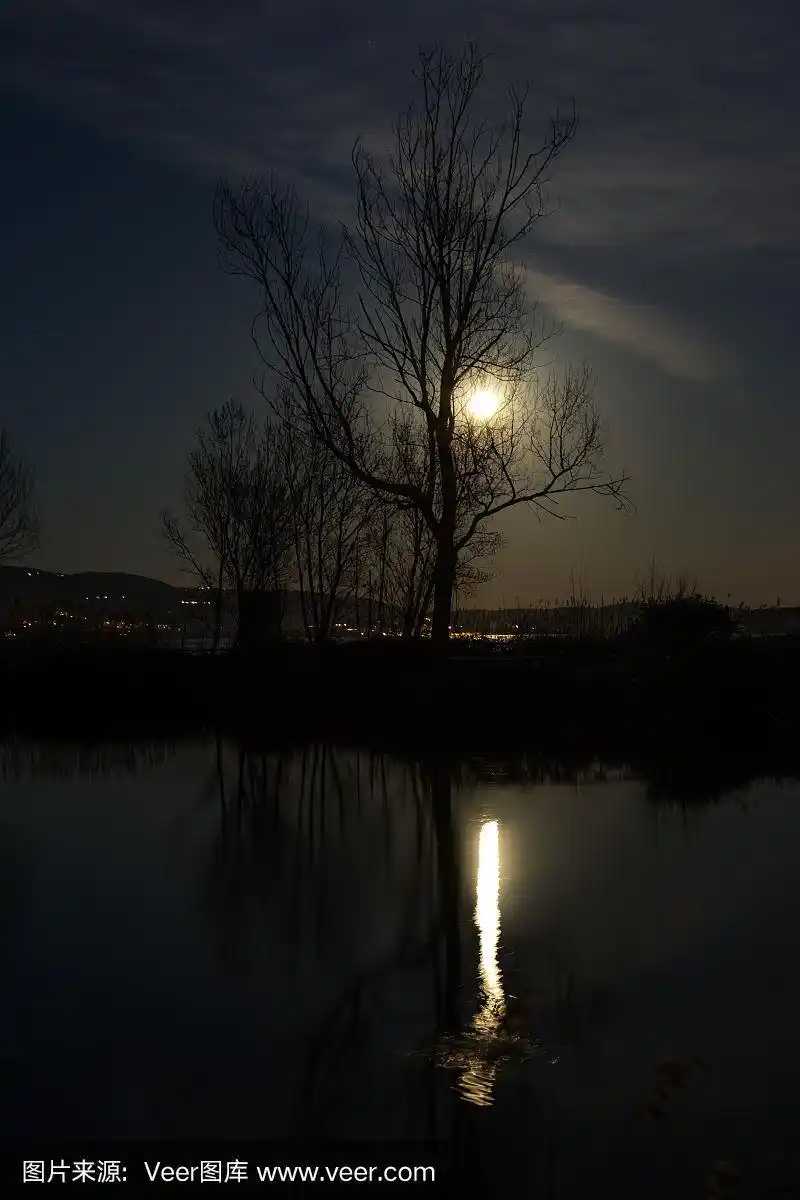 夜晚,月亮和树木倒映在特拉西梅诺湖面上