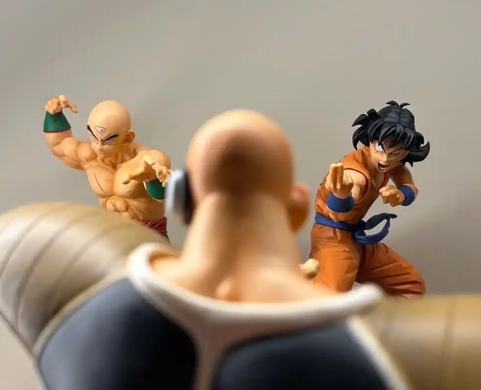 龙珠一番赏雅木茶天津饭普尔