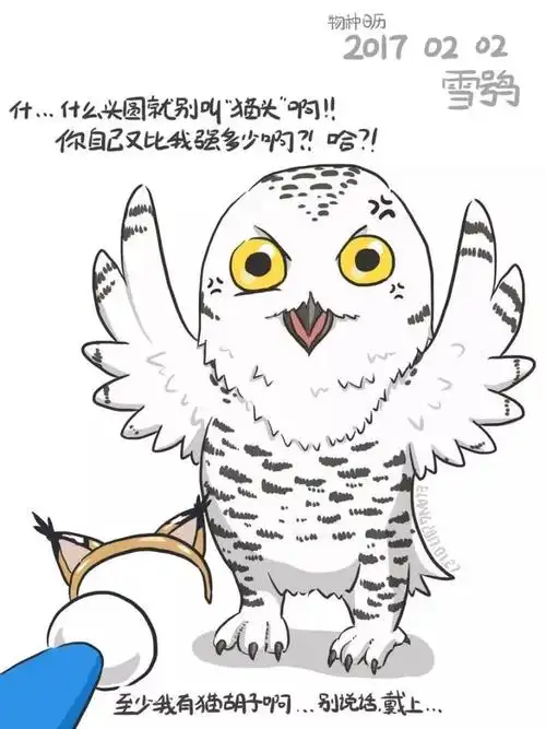 有魔法的表情包来了你能看懂海德薇想说什么吗