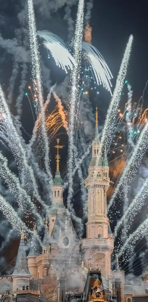 2021最新迪士尼城堡唯美烟火,图片大全,高清,图库-回车桌面