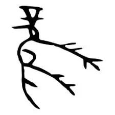 有趣的甲骨文,先祖们看不到风的形状,那么"风"是怎么创造的?