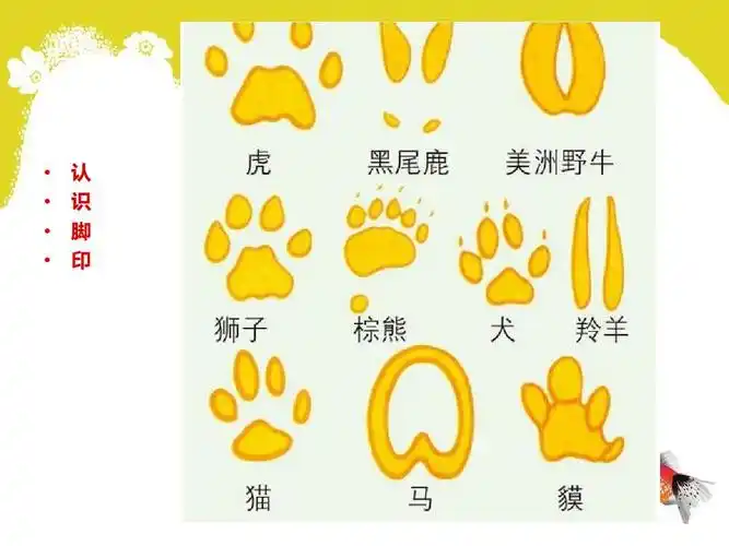 人教版小学美术二年级上册《脚印的联想》课件