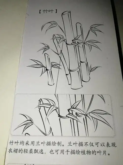 用钢笔画出来的羽毛线条不仅生硬还不够柔软,很不美观.