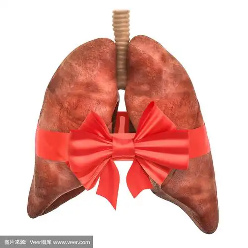 人类肺脏,三维图形,白色背景,蝴蝶结,缎带