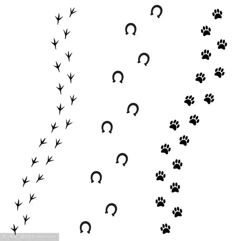 黑色的脚印,狗,马和鸟