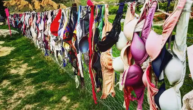 异国风俗:新西兰南岛上的内衣墙,当地男性却请求拆除