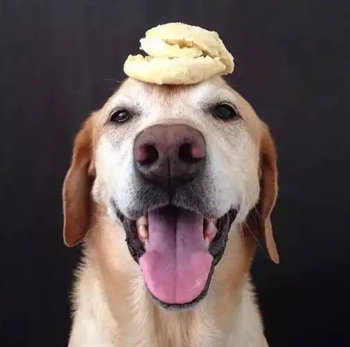 太简单了,看脸上这得意的笑容.