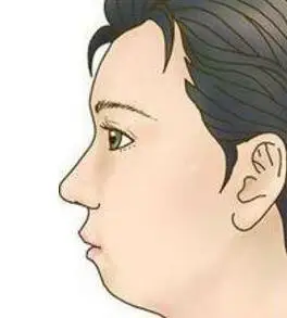 面相解析鸡嘴鼠齿面相的人命运怎样