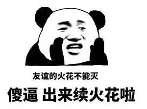 友谊的火花不能灭,傻逼出来续火花啦 - 斗图表情包 - 金馆长表情库