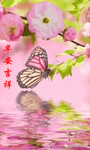 523星期四《早安心语》