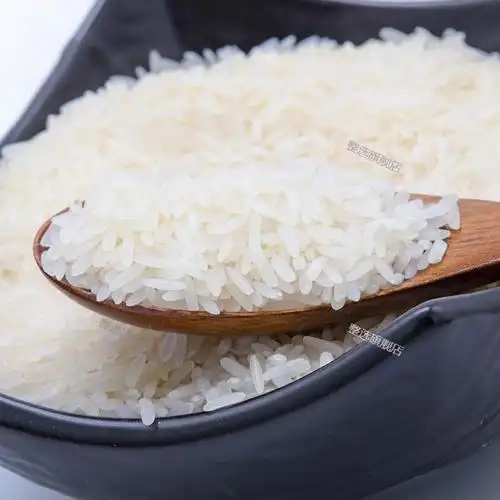 金泰杯泰国香米一斤试吃进口大米香米原粮进口长粒大米软香蓝泰500克