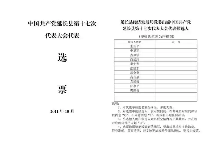党代表选票样式1