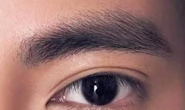 的第1种,就是眉毛和眼睛离得非常近的人,在面相上这种特点叫做眉压眼