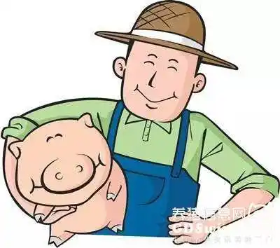 未来五年养猪业六大补贴政策,拿走不谢!