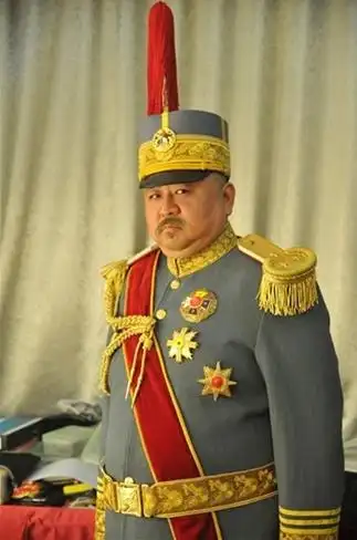 护国大将军剧情介绍131集大结局剧情电视剧护国大将军全集在线观看