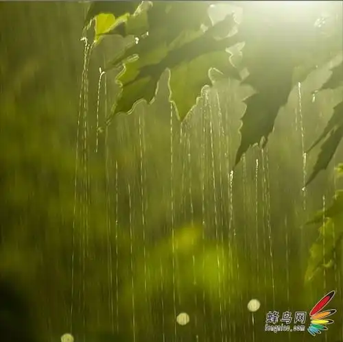 【雨天摄影技巧】雨天如何能拍出好片
