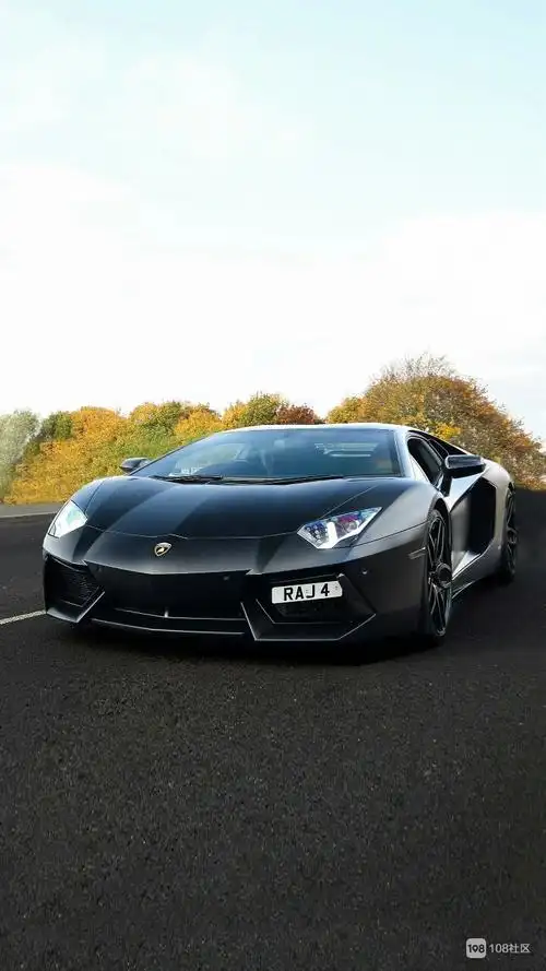 wx~186345925的个人主页_108社区_108sq.cn