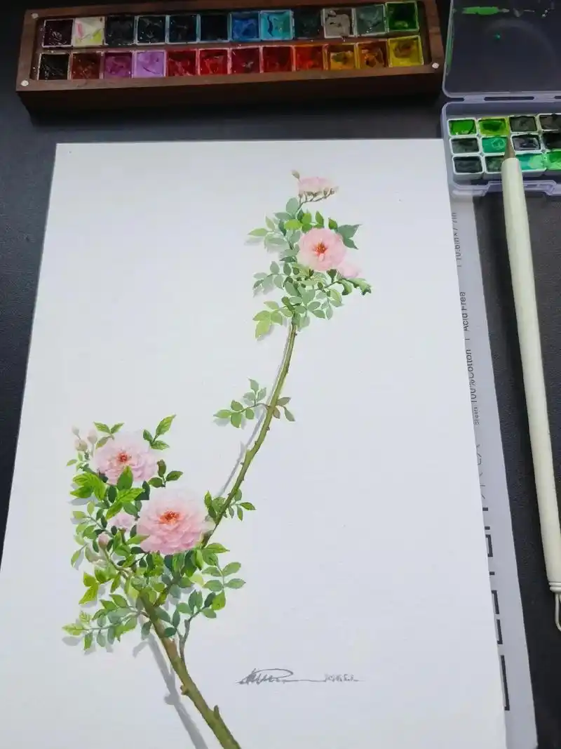 图文伙伴计划2024 蔷薇花开,没有一朵开在心门之外~7815 她似