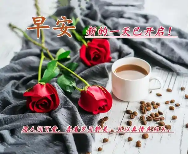 清晨早上好暖心问候祝福语句,最新早安问候语图片表情