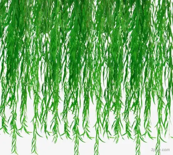 绿色柳树png素材透明免抠图片-装饰效果-三元素3png.com