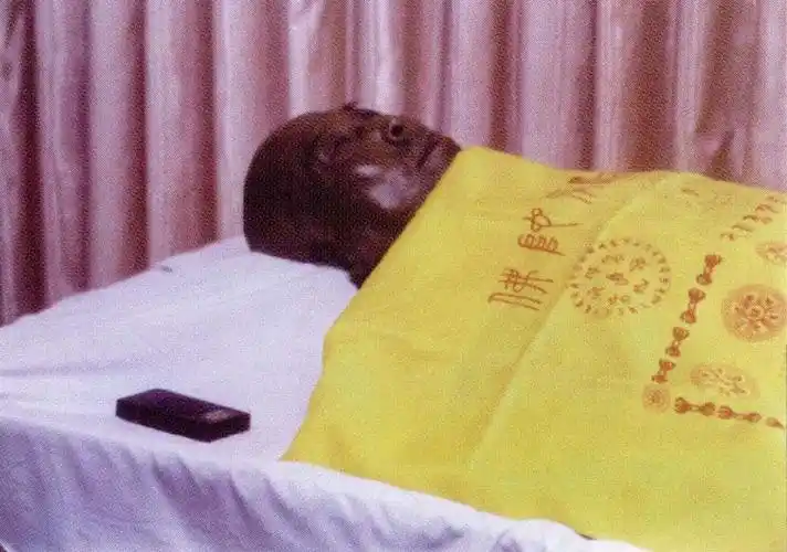 赞叹,宣化上人也示现紫磨金身!