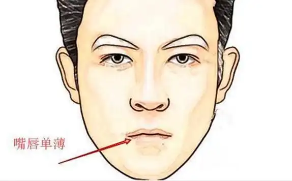 上嘴唇薄的男人的性格,性格与面相命运详解,上嘴唇薄的男人性格特点