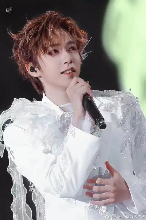 星愿生日企划##给贺峻霖许个星愿##贺峻霖缘故##贺峻霖 二十弈梦鸿鹄